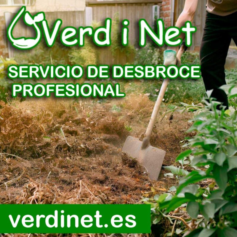En Verd i Net, somos expertos en limpiezas y desbroces de fincas y terrenos.