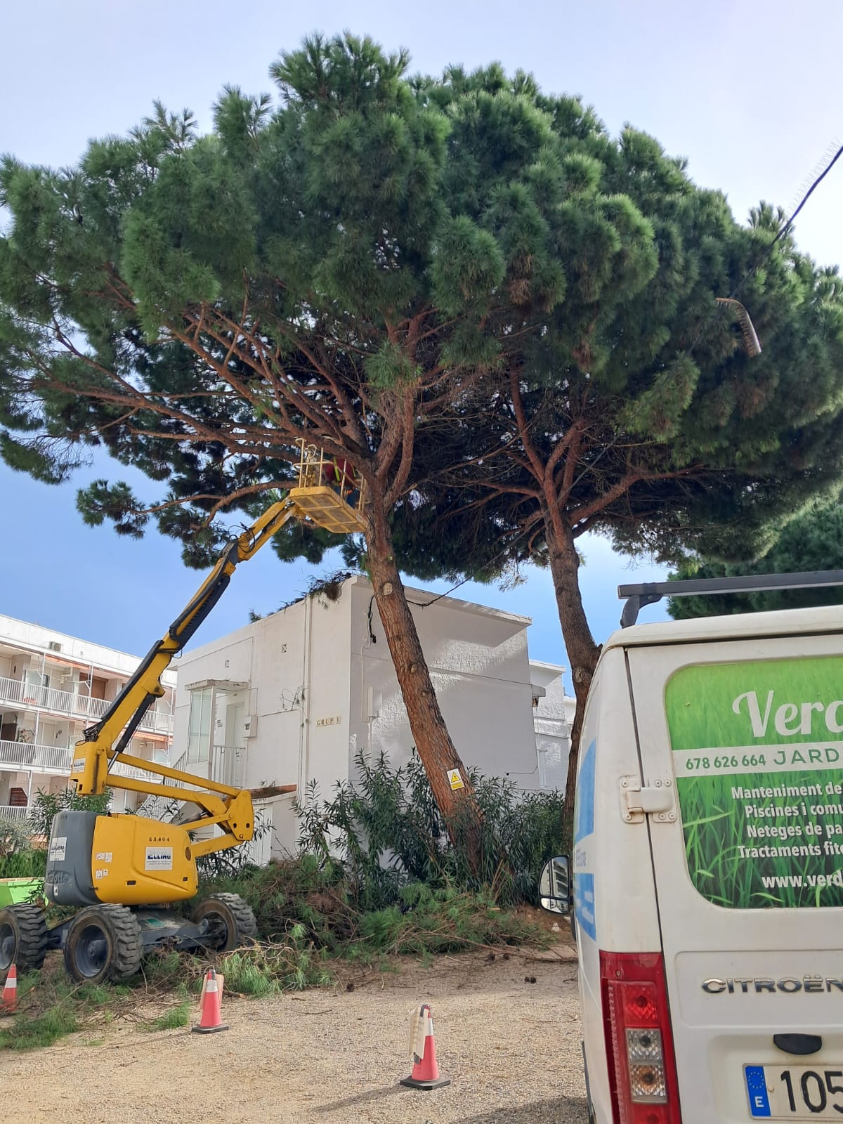 Jardineres en Tarragona